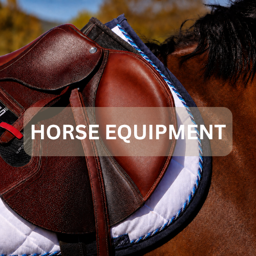 Horse Equipment