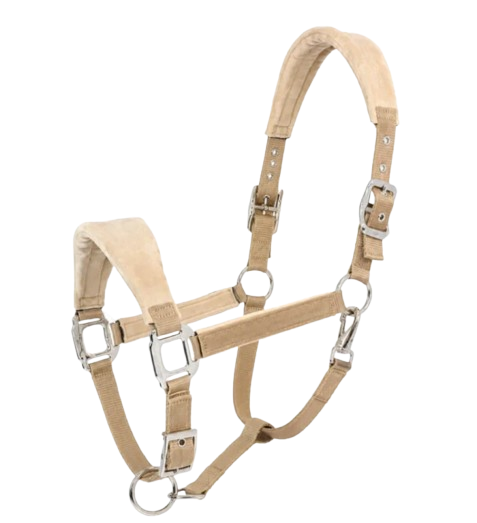 Plain Padded Horse Halter